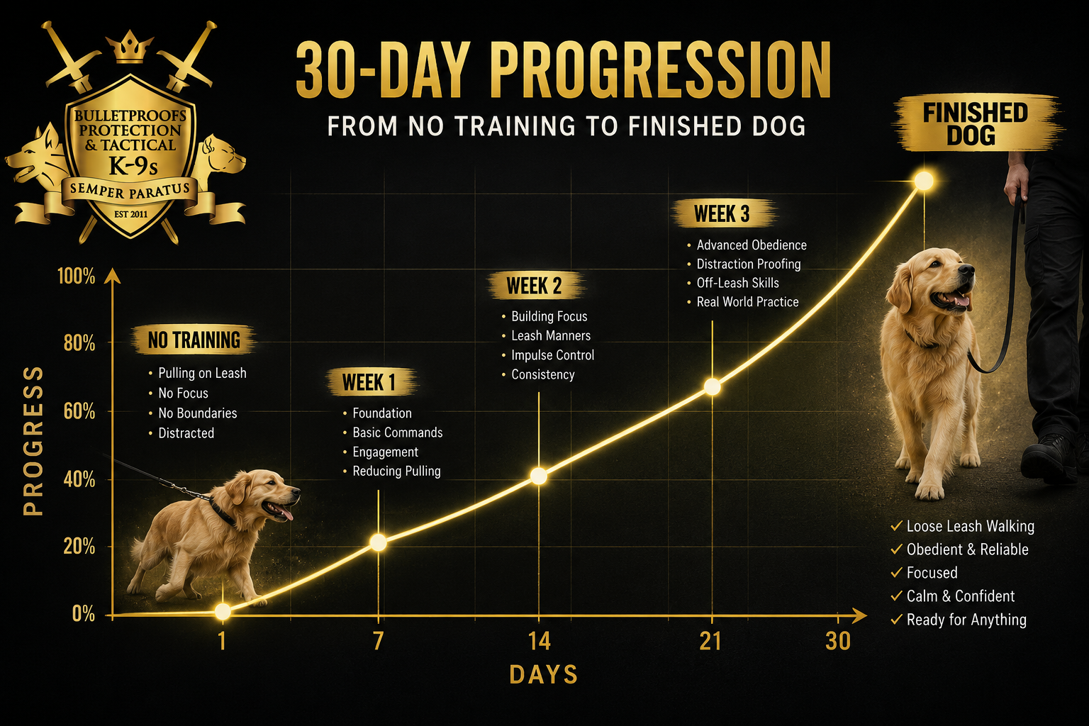 30-day training progression — from no training to a finished dog