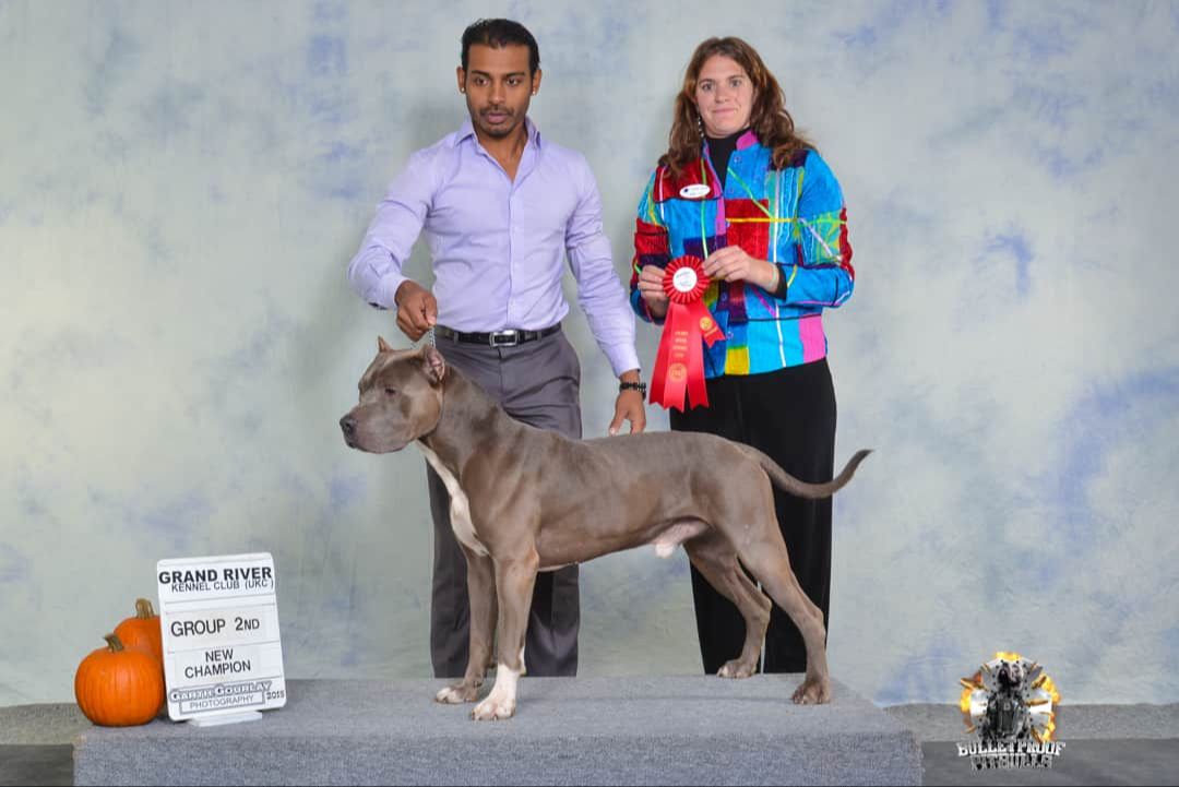Champion working dog