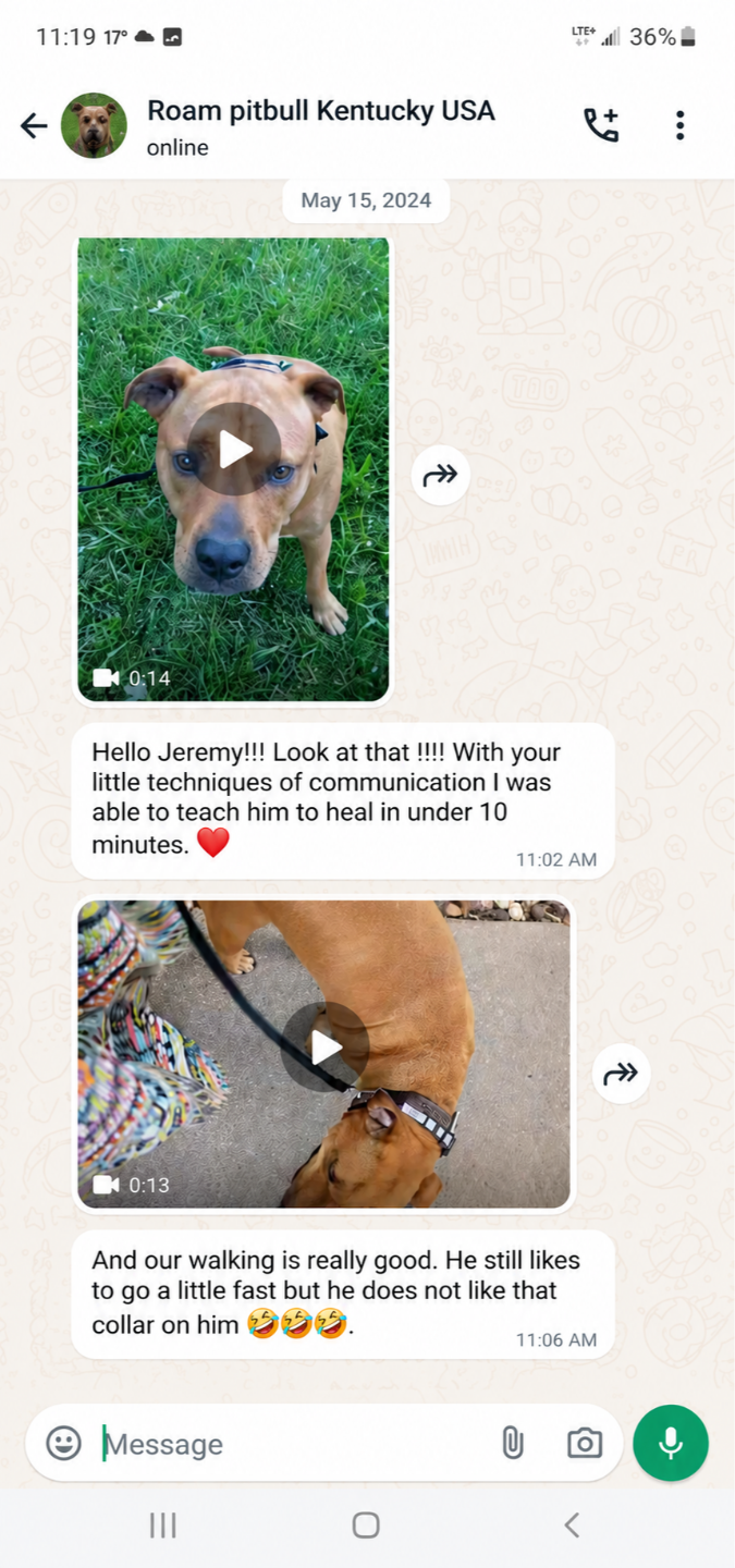 Client testimonial