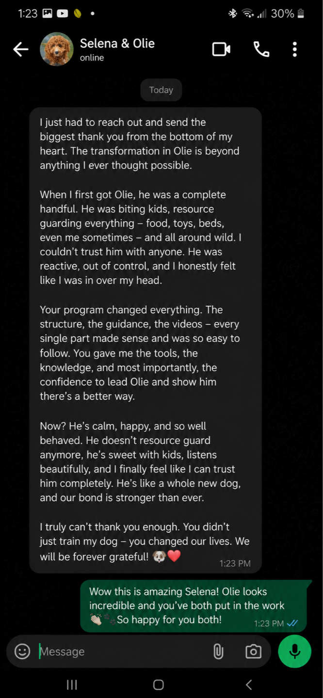 Client testimonial