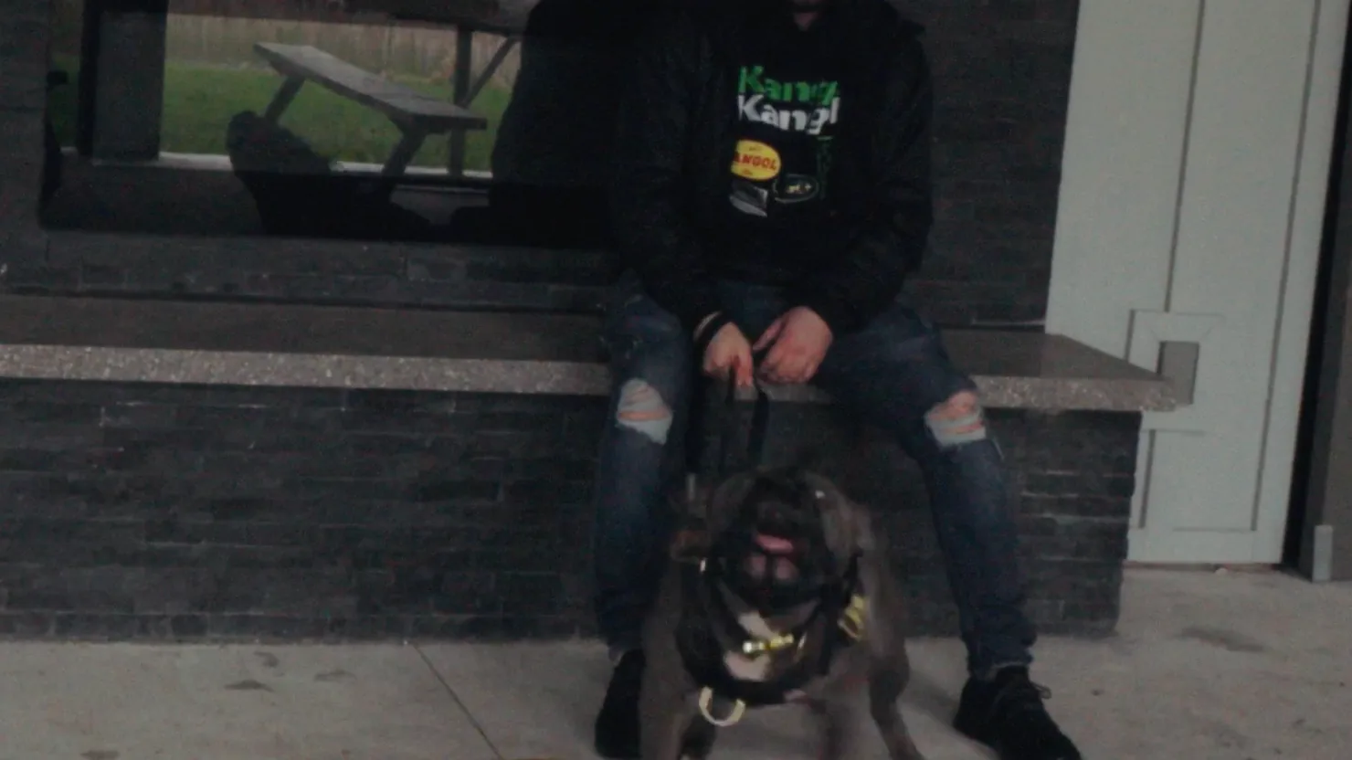 Before training — a reactive, hard-to-handle dog