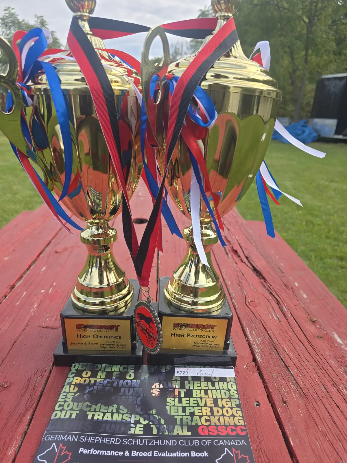 High Obedience and High Protection trophies from the Synergy Working Dog Club Fall Trial, engraved Jeremy and Recoil