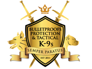 BulletproofK9s