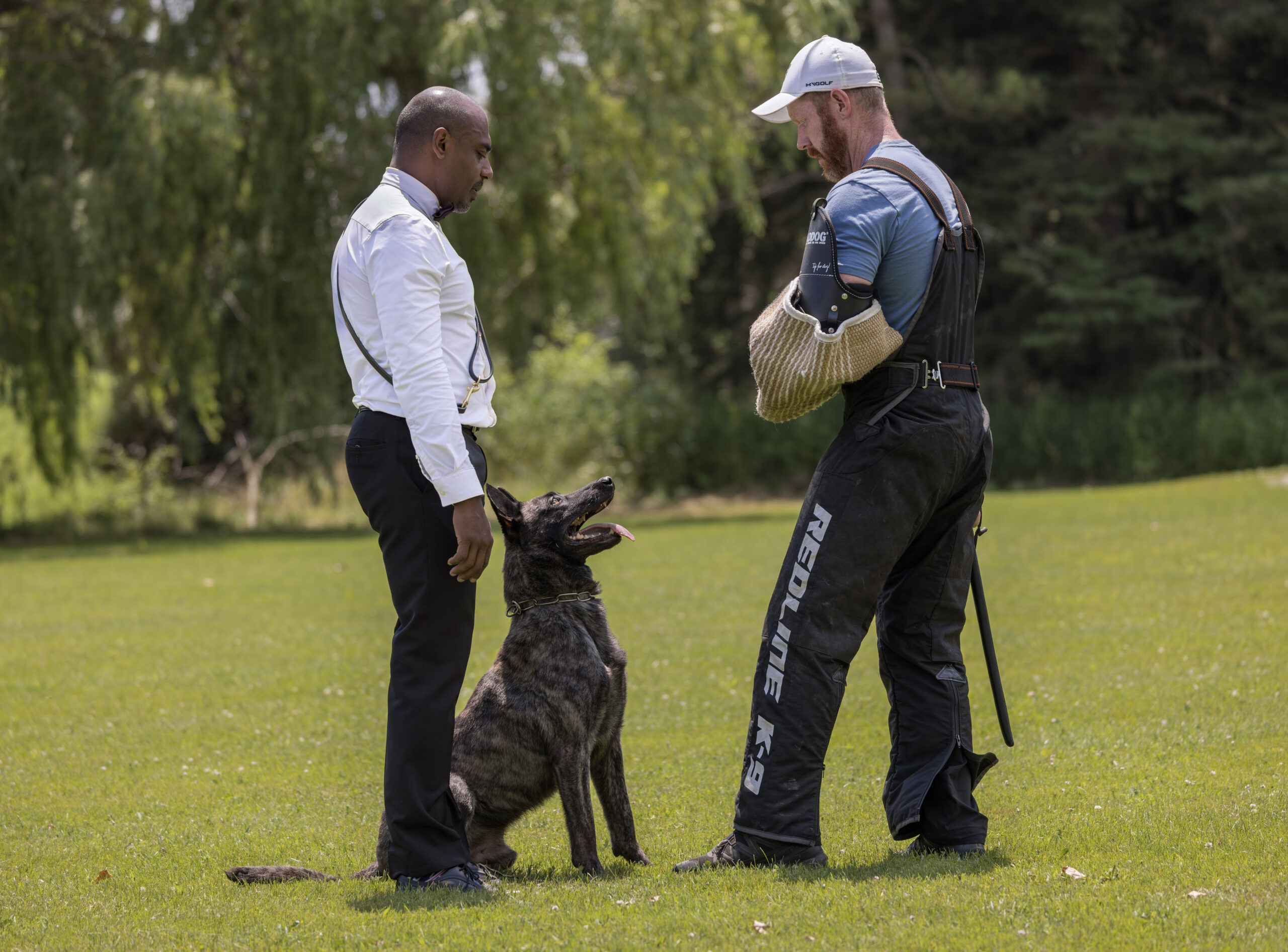 Trophies from Jeremy&rsquo;s canine sport competitions
