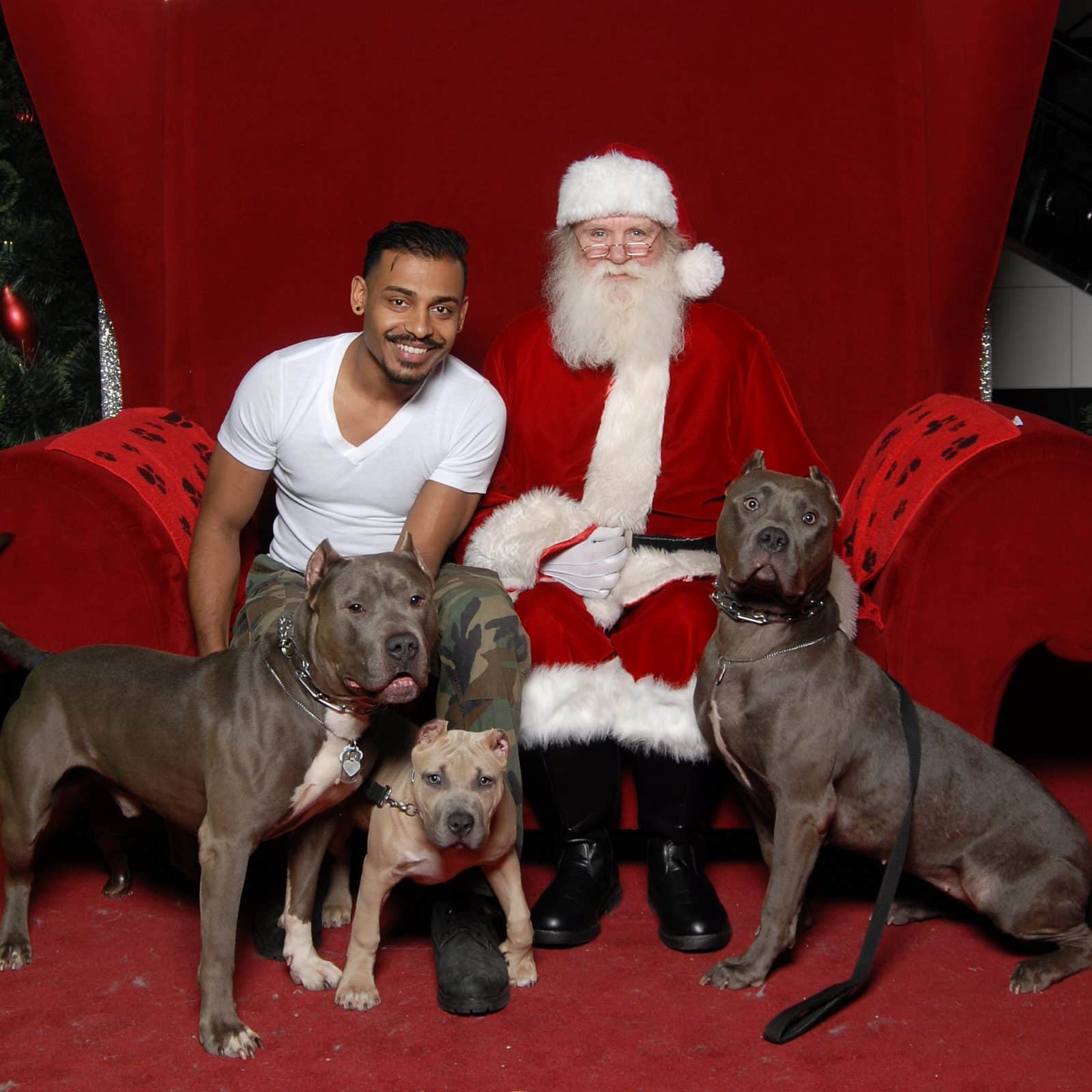 Founder with dogs