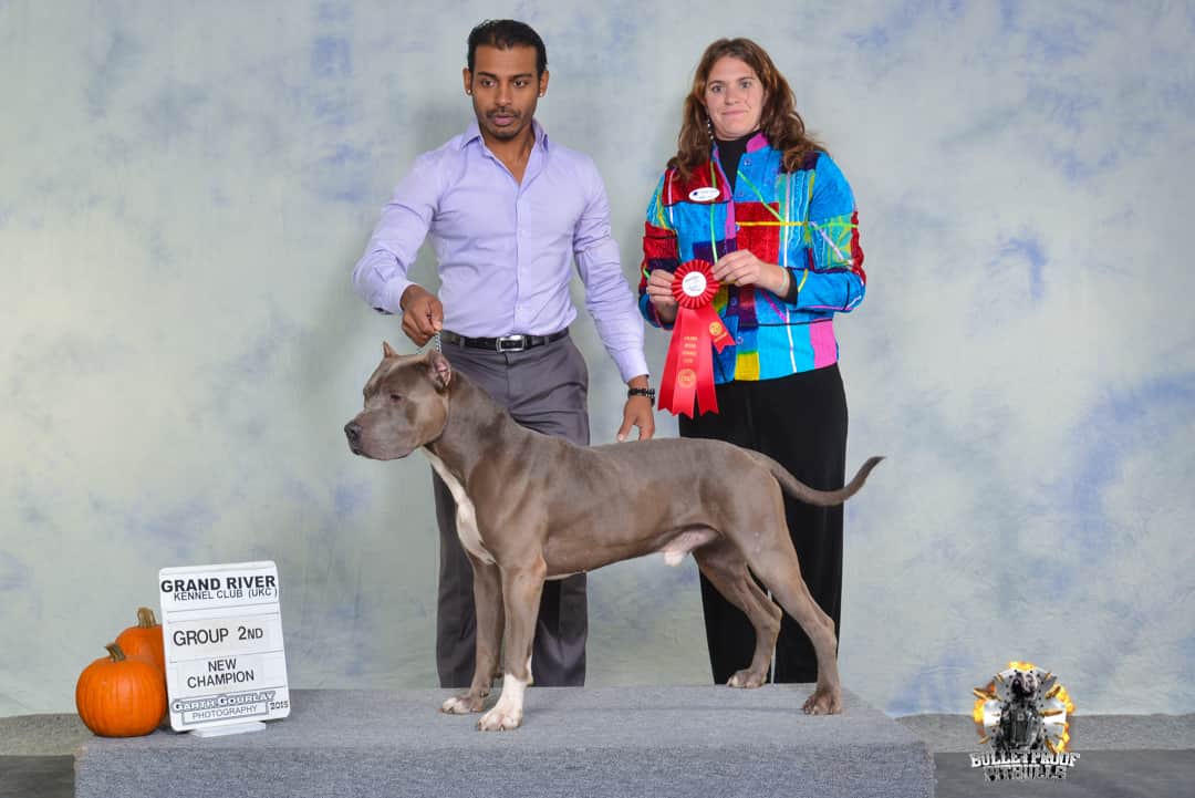 Jeremy, founder and head trainer of BulletproofK9s